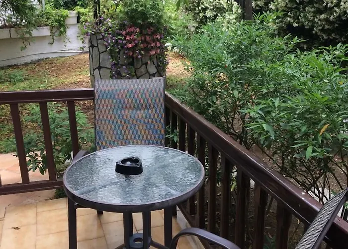 Otel Pettite Morfo İskados