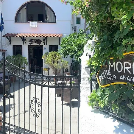 Pettite Morfo