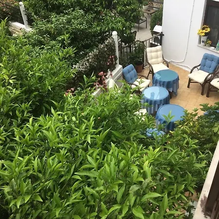 Pettite Morfo Hotel 2*